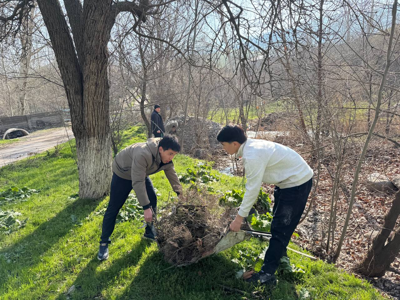 01KMJEGTQGZ3FBX0SPZCFRMY8J