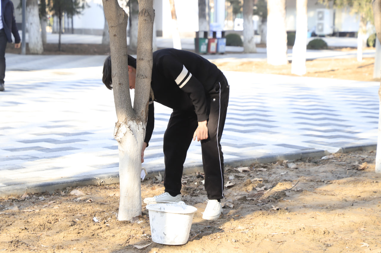 01KMJEKJZT5G42ASB6Z6BBQY2V