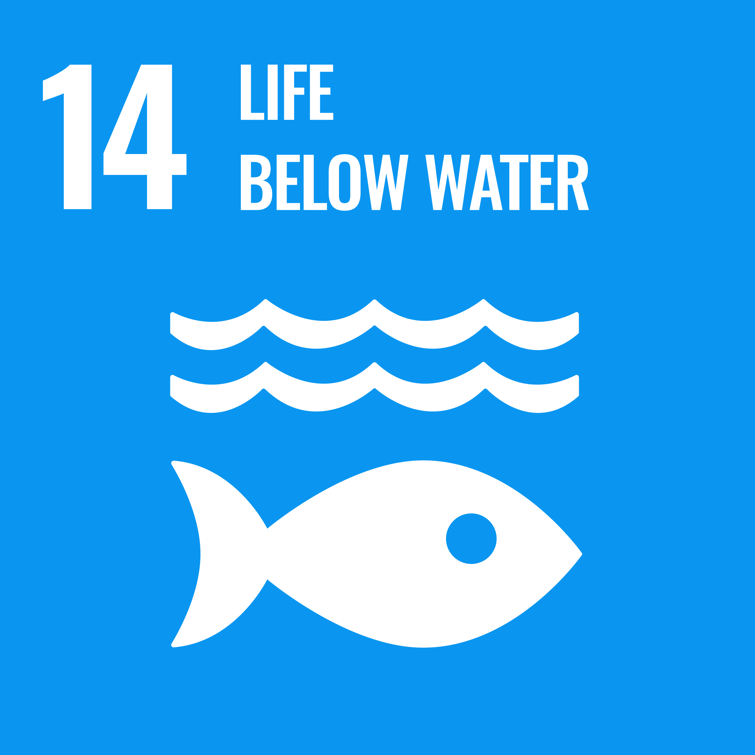 Conserve and sustainably use the oceans, seas and marine resources for ...
